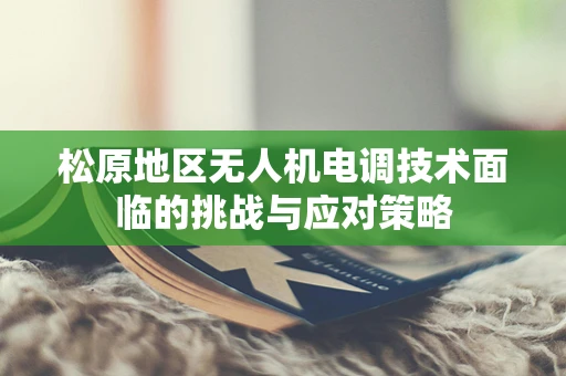 松原地区无人机电调技术面临的挑战与应对策略