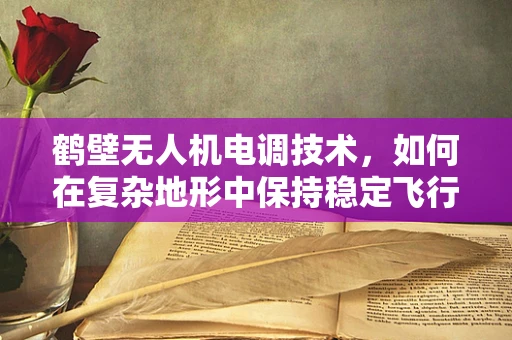 鹤壁无人机电调技术，如何在复杂地形中保持稳定飞行？