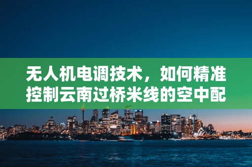 无人机电调技术，如何精准控制云南过桥米线的空中配送？