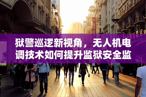狱警巡逻新视角，无人机电调技术如何提升监狱安全监控？