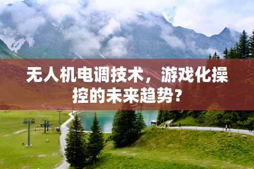 无人机电调技术，游戏化操控的未来趋势？