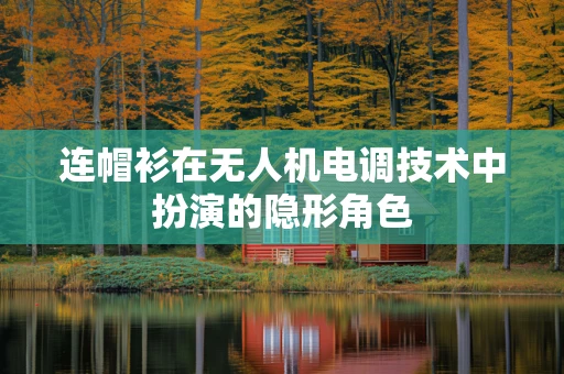 连帽衫在无人机电调技术中扮演的隐形角色