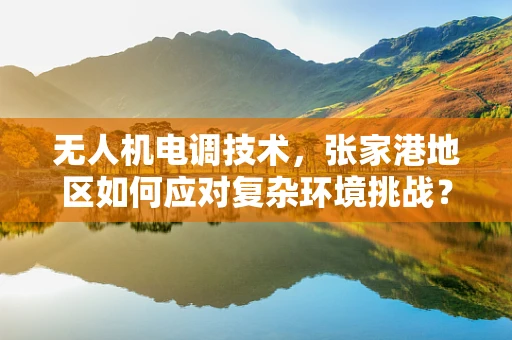 无人机电调技术，张家港地区如何应对复杂环境挑战？