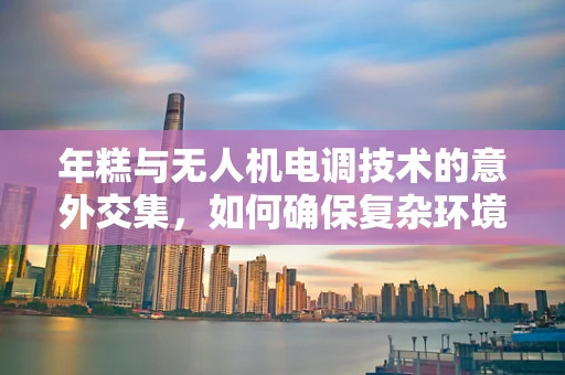 年糕与无人机电调技术的意外交集，如何确保复杂环境下的稳定飞行？