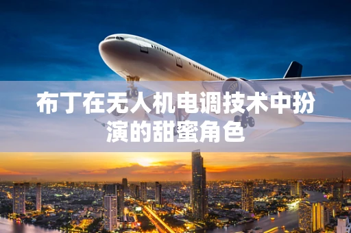 布丁在无人机电调技术中扮演的甜蜜角色