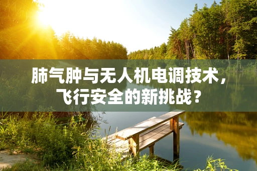 肺气肿与无人机电调技术，飞行安全的新挑战？