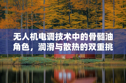 无人机电调技术中的骨髓油角色，润滑与散热的双重挑战