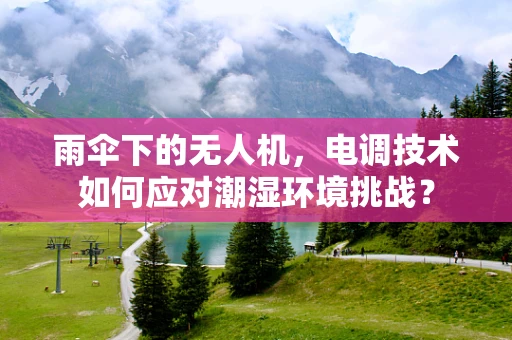 雨伞下的无人机，电调技术如何应对潮湿环境挑战？