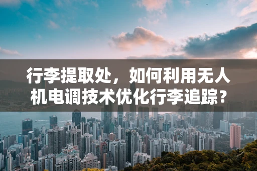 行李提取处，如何利用无人机电调技术优化行李追踪？