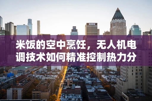米饭的空中烹饪，无人机电调技术如何精准控制热力分布？