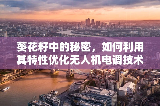 葵花籽中的秘密，如何利用其特性优化无人机电调技术？