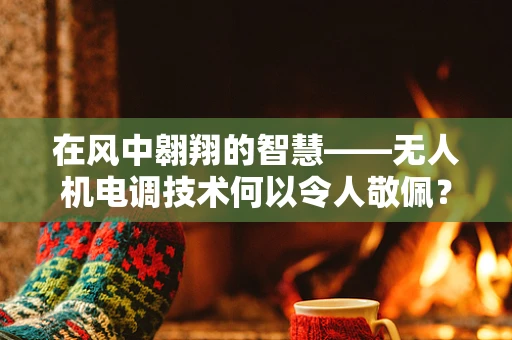 在风中翱翔的智慧——无人机电调技术何以令人敬佩？