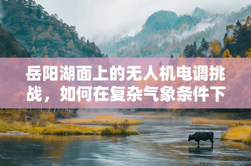 岳阳湖面上的无人机电调挑战，如何在复杂气象条件下保持稳定飞行？