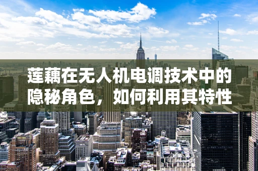 莲藕在无人机电调技术中的隐秘角色，如何利用其特性优化飞行稳定性？