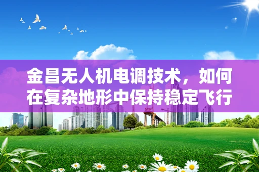 金昌无人机电调技术，如何在复杂地形中保持稳定飞行？