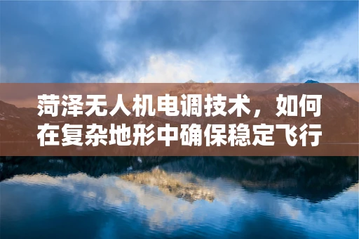 菏泽无人机电调技术，如何在复杂地形中确保稳定飞行？