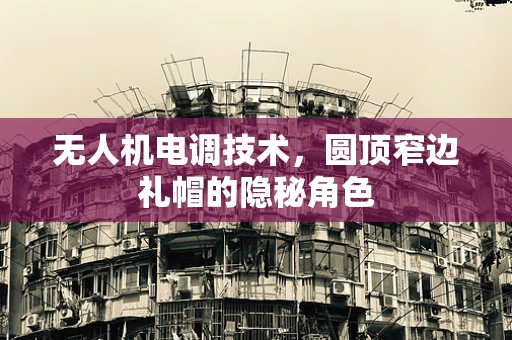 无人机电调技术，圆顶窄边礼帽的隐秘角色
