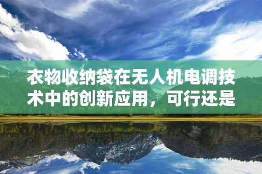 衣物收纳袋在无人机电调技术中的创新应用，可行还是挑战？