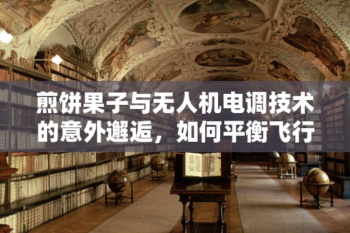 煎饼果子与无人机电调技术的意外邂逅，如何平衡飞行稳定与风味传递？
