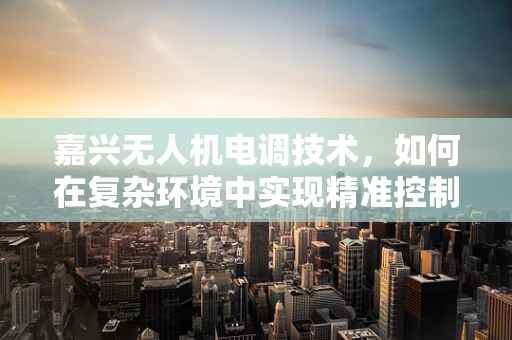 嘉兴无人机电调技术，如何在复杂环境中实现精准控制？