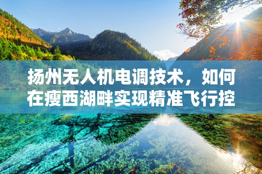 扬州无人机电调技术，如何在瘦西湖畔实现精准飞行控制？