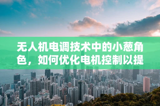 无人机电调技术中的小葱角色，如何优化电机控制以提升飞行稳定性？