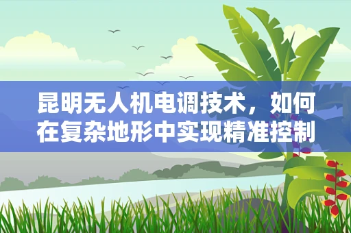 昆明无人机电调技术，如何在复杂地形中实现精准控制？