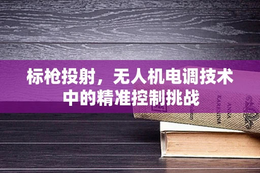 标枪投射，无人机电调技术中的精准控制挑战