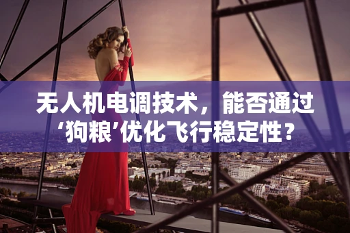 无人机电调技术，能否通过‘狗粮’优化飞行稳定性？