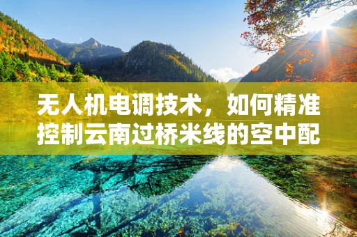 无人机电调技术，如何精准控制云南过桥米线的空中配送？