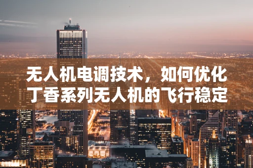 无人机电调技术，如何优化丁香系列无人机的飞行稳定性？