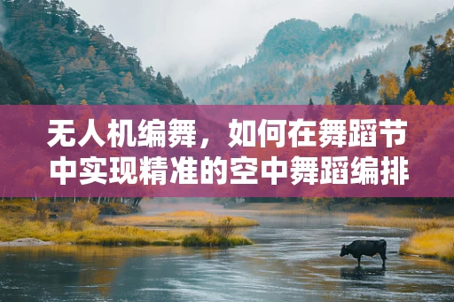 无人机编舞，如何在舞蹈节中实现精准的空中舞蹈编排？