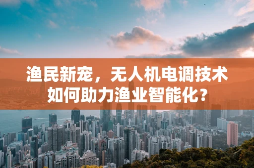 渔民新宠，无人机电调技术如何助力渔业智能化？