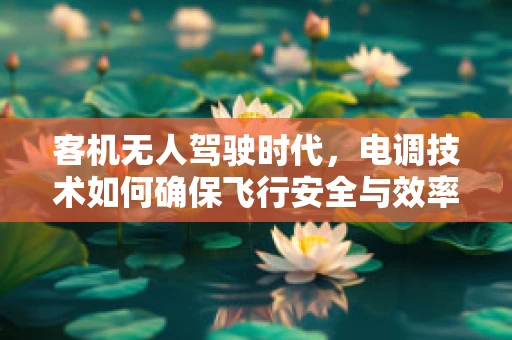 客机无人驾驶时代，电调技术如何确保飞行安全与效率？