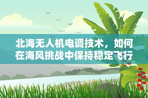 北海无人机电调技术，如何在海风挑战中保持稳定飞行？