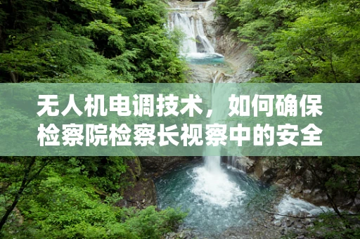 无人机电调技术，如何确保检察院检察长视察中的安全与高效？