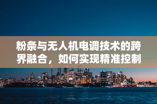 粉条与无人机电调技术的跨界融合，如何实现精准控制？