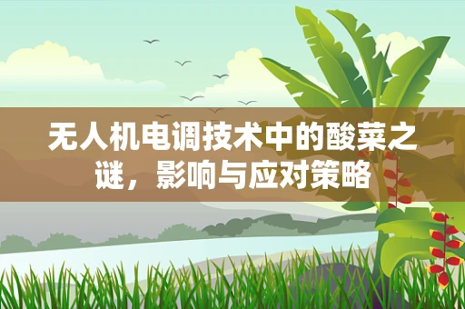 无人机电调技术中的酸菜之谜，影响与应对策略