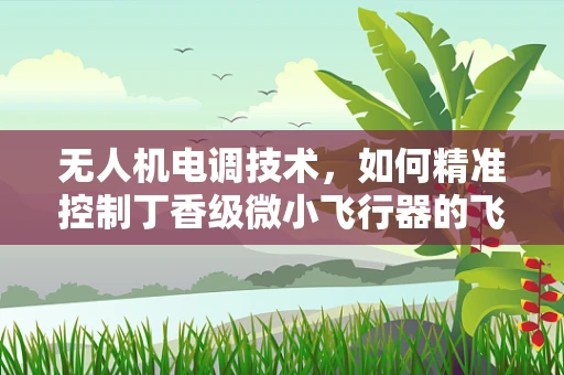 无人机电调技术，如何精准控制丁香级微小飞行器的飞行稳定性？