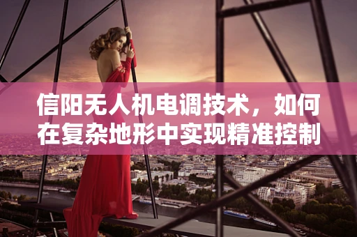 信阳无人机电调技术，如何在复杂地形中实现精准控制？