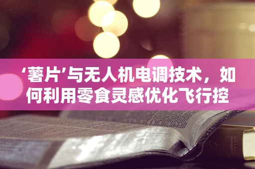 ‘薯片’与无人机电调技术，如何利用零食灵感优化飞行控制？