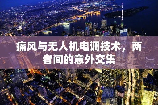 痛风与无人机电调技术，两者间的意外交集