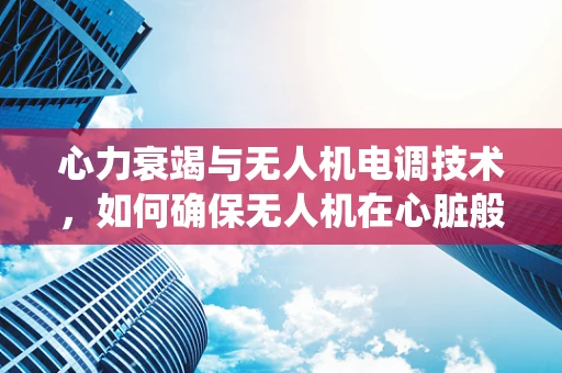 心力衰竭与无人机电调技术，如何确保无人机在心脏般复杂的系统中稳定飞行？