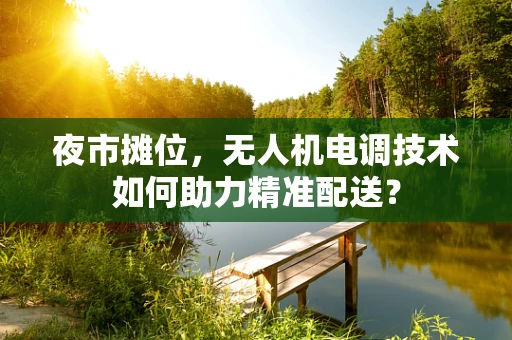 夜市摊位，无人机电调技术如何助力精准配送？