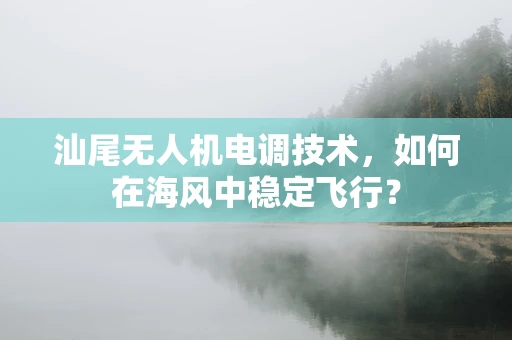 汕尾无人机电调技术，如何在海风中稳定飞行？