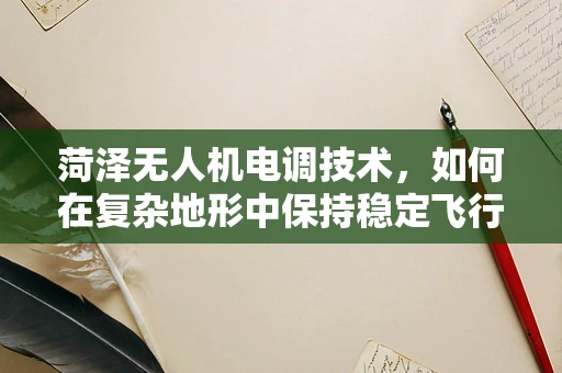 菏泽无人机电调技术，如何在复杂地形中保持稳定飞行？
