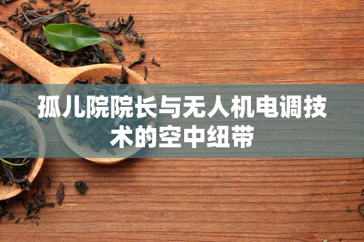 孤儿院院长与无人机电调技术的空中纽带