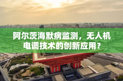 阿尔茨海默病监测，无人机电调技术的创新应用？