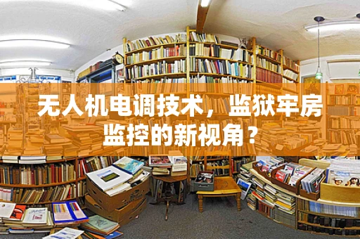 无人机电调技术，监狱牢房监控的新视角？