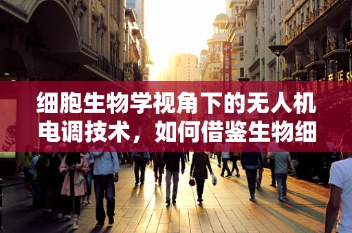 细胞生物学视角下的无人机电调技术，如何借鉴生物细胞机制优化飞行控制？